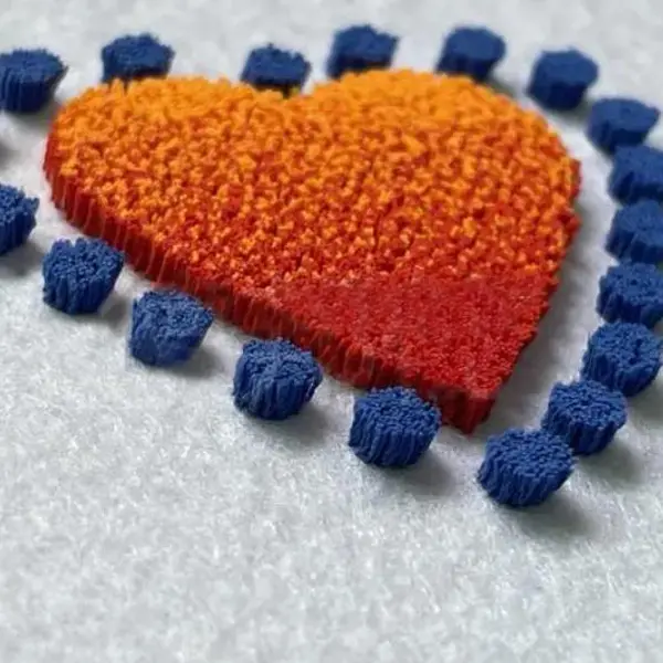 Toothbrush-embroidery